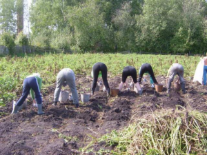 Агрофітнес